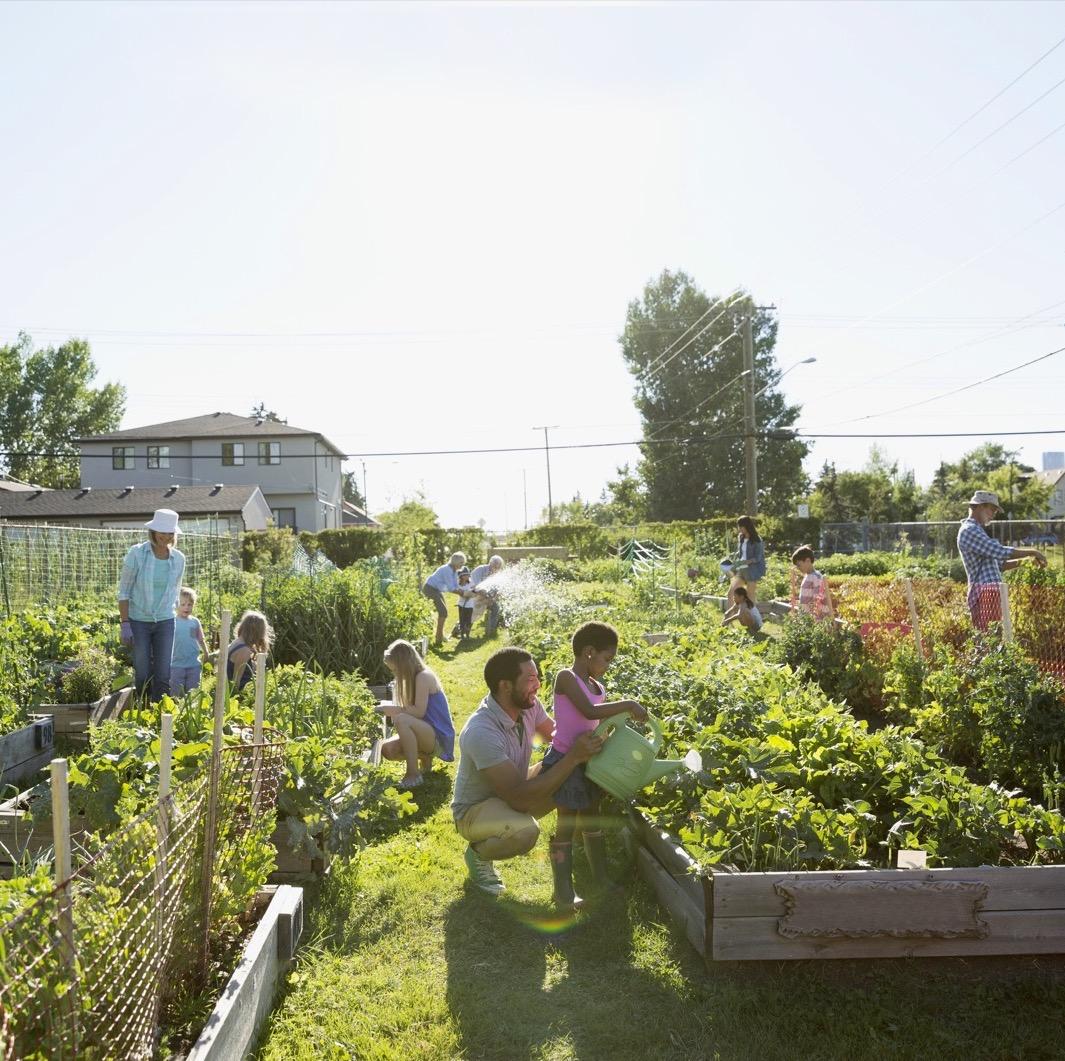 Community Garden